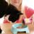 Adopting a Cat: Essential Equipment